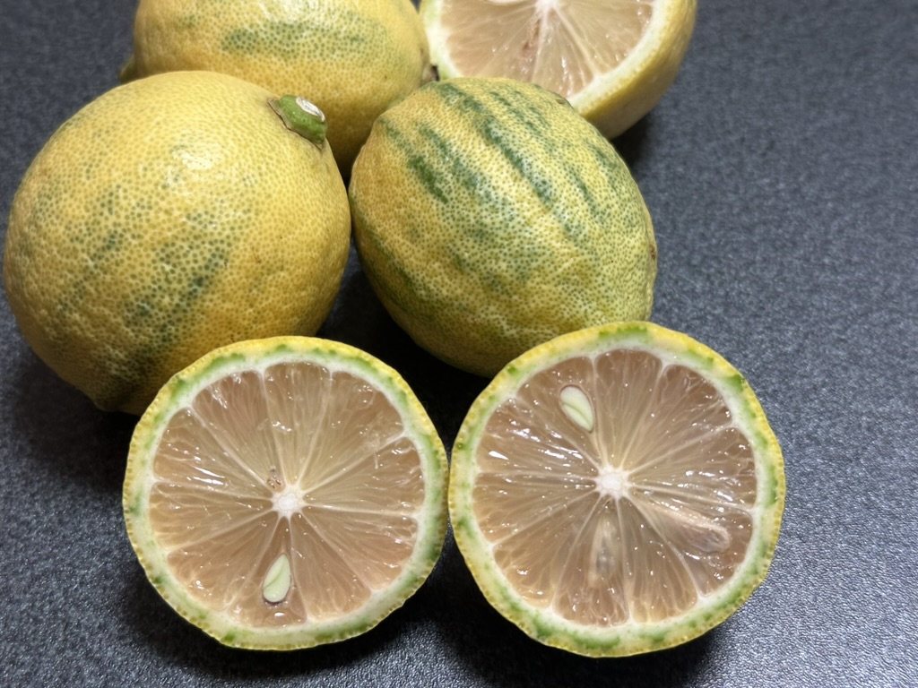 ピンクレモネード